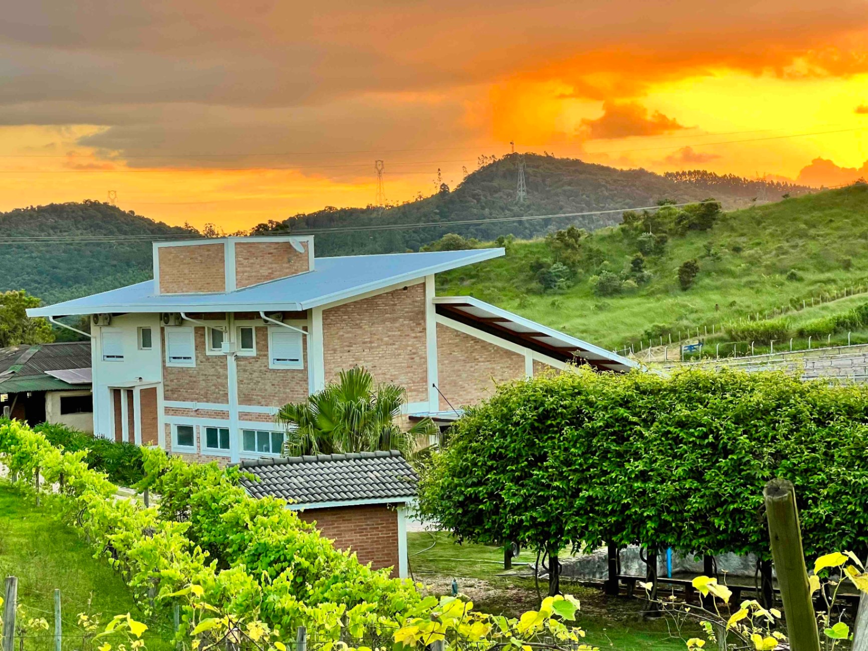 Casa Anexa ao pôr do sol com vinhedos